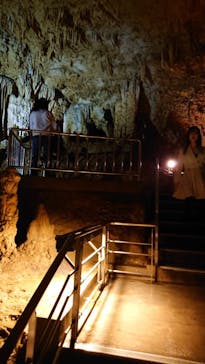 おきなわワールドに投稿された画像（2019/11/12）