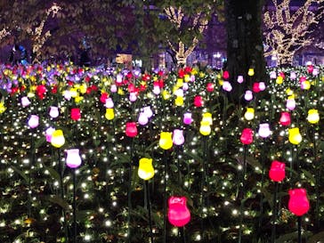 さがみ湖MORI MORIに投稿された画像（2019/11/12）