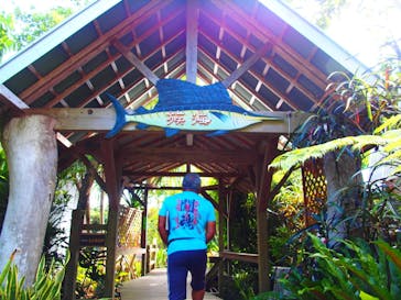 奄美海族塾に投稿された画像（2019/11/12）