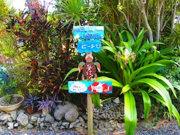 奄美海族塾に投稿された画像（2019/11/12）