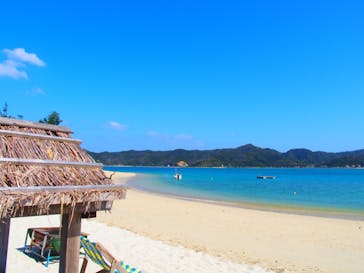 奄美海族塾に投稿された画像（2019/11/12）