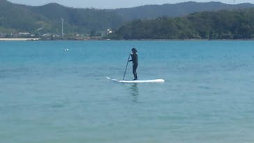 奄美海族塾に投稿された画像（2019/11/12）