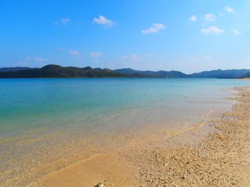 奄美海族塾に投稿された画像（2019/11/12）