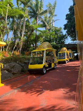 ナゴパイナップルパークに投稿された画像（2019/11/13）