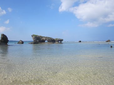 沖縄ダイビングショップシーモールに投稿された画像（2019/11/13）