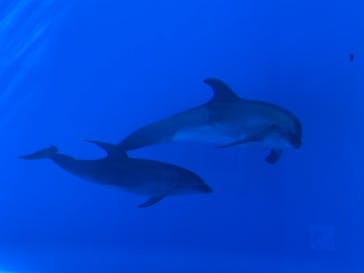 九十九島水族館海きららに投稿された画像（2019/11/14）