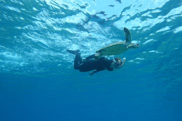 初心者専門店NEOMARINE石垣島に投稿された画像（2019/11/14）