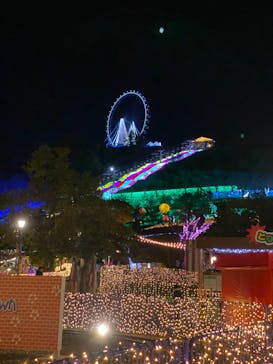 さがみ湖MORI MORIに投稿された画像（2019/11/15）