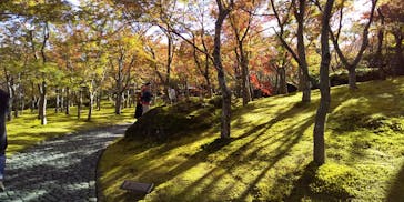 箱根美術館に投稿された画像（2019/11/15）