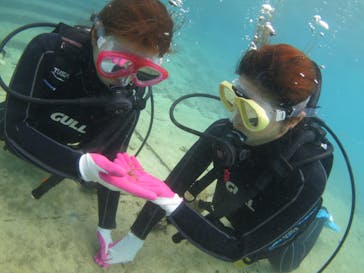 ドロップイン 沖縄に投稿された画像（2019/11/16）