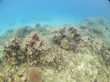 ドロップイン 沖縄に投稿された画像（2019/11/16）