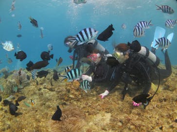 ドロップイン 沖縄に投稿された画像（2019/11/16）