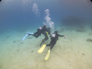 ドロップイン 沖縄に投稿された画像（2019/11/16）