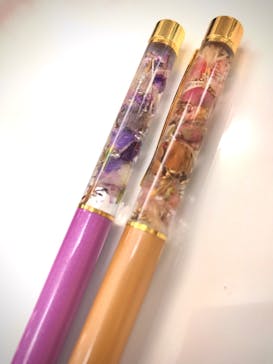 ずこうしつ〜sugamo〜に投稿された画像（2019/11/16）