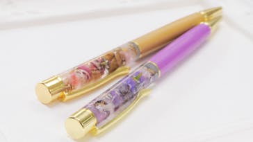 ずこうしつ〜sugamo〜に投稿された画像（2019/11/16）