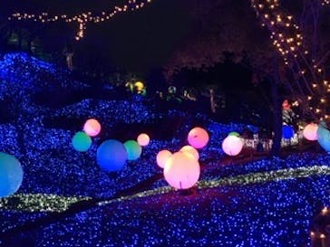 さがみ湖MORI MORIに投稿された画像（2019/11/16）