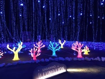 さがみ湖MORI MORIに投稿された画像（2019/11/16）