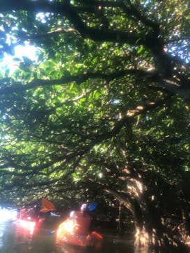 カヌー体験　らぐ～んに投稿された画像（2019/11/16）