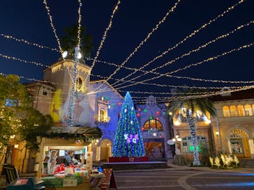 ポルトヨーロッパに投稿された画像（2019/11/16）