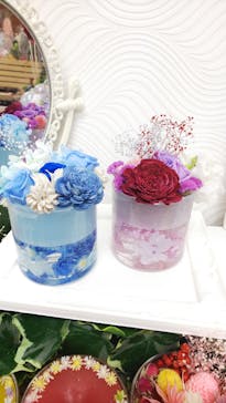 ずこうしつ〜sugamo〜に投稿された画像（2019/11/17）