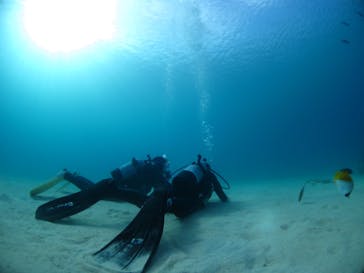 ドロップイン 沖縄に投稿された画像（2019/11/17）