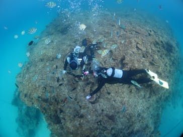 ドロップイン 沖縄に投稿された画像（2019/11/17）