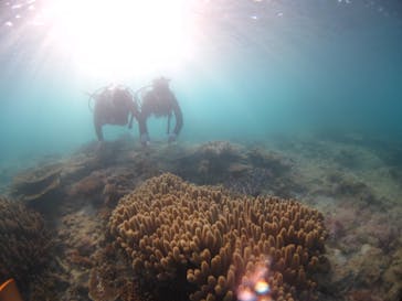 ドロップイン 沖縄に投稿された画像（2019/11/17）