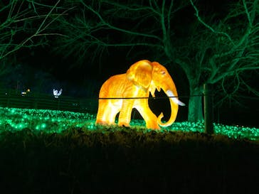 さがみ湖MORI MORIに投稿された画像（2019/11/17）