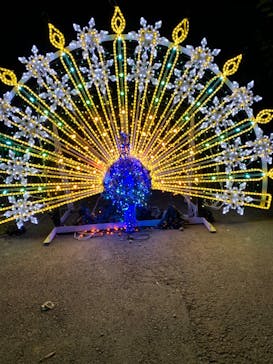 さがみ湖MORI MORIに投稿された画像（2019/11/17）