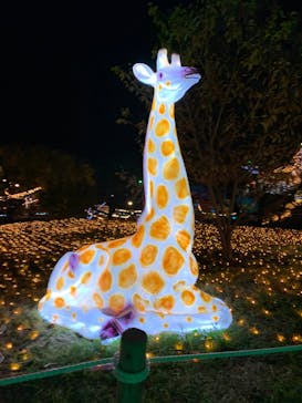 さがみ湖MORI MORIに投稿された画像（2019/11/17）