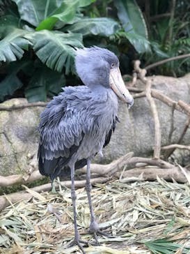 那須どうぶつ王国に投稿された画像（2019/11/17）