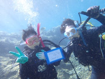 ダイビングショップ Sea Free（シーフリー）に投稿された画像（2019/11/17）