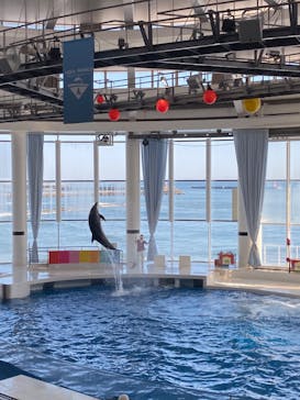 アクアワールド茨城県大洗水族館に投稿された画像（2019/11/17）