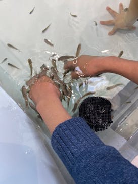 アクアワールド茨城県大洗水族館に投稿された画像（2019/11/17）