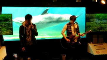 しながわ水族館に投稿された画像（2019/11/17）