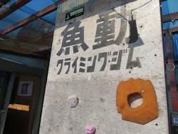 魚動クライミングジム 各務原店に投稿された画像（2019/11/17）