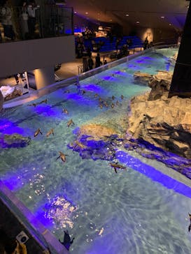 すみだ水族館に投稿された画像（2019/11/18）