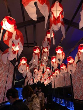 すみだ水族館に投稿された画像（2019/11/18）