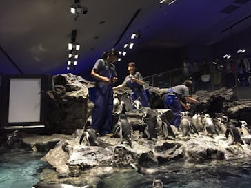 すみだ水族館に投稿された画像（2019/11/18）