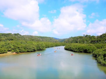 やんばるエコフィールド島風（しまかじ）に投稿された画像（2019/11/18）