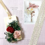 SEASON（シーズン）に投稿された画像（2019/11/18）