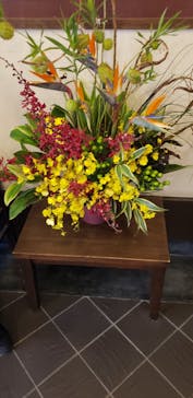 上方温泉 一休 京都本館に投稿された画像（2019/11/18）