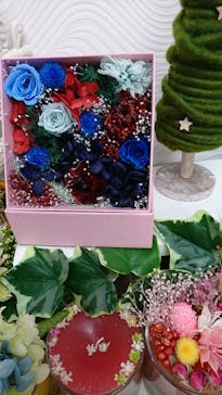 ずこうしつ〜sugamo〜に投稿された画像（2019/11/19）