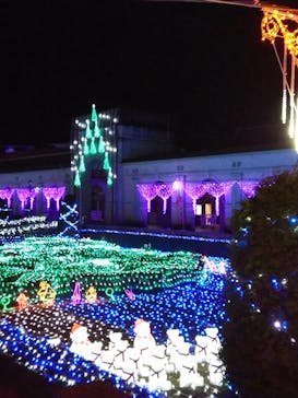 神戸イルミナージュに投稿された画像（2019/11/19）