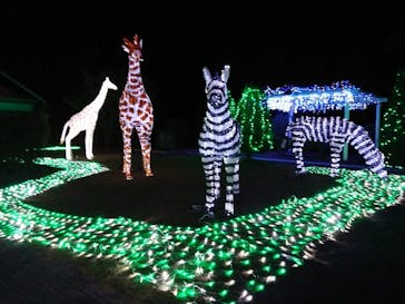 神戸イルミナージュに投稿された画像（2019/11/19）