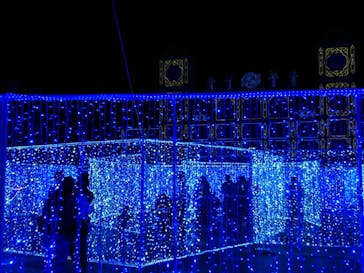 神戸イルミナージュに投稿された画像（2019/11/19）