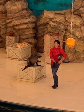 鳥羽水族館に投稿された画像（2019/11/19）