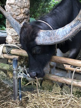 ビオスの丘に投稿された画像（2019/11/20）