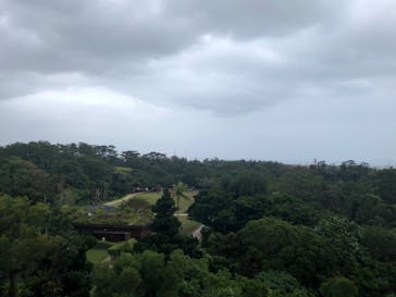 ビオスの丘に投稿された画像（2019/11/20）