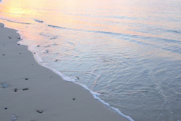 奄美ネイチャーガイドに投稿された画像（2019/11/20）